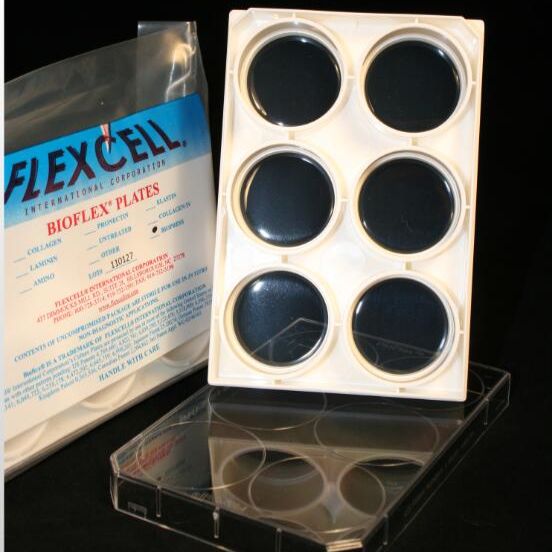 6孔胶原I 型BioFLEX双向应力细胞培养板