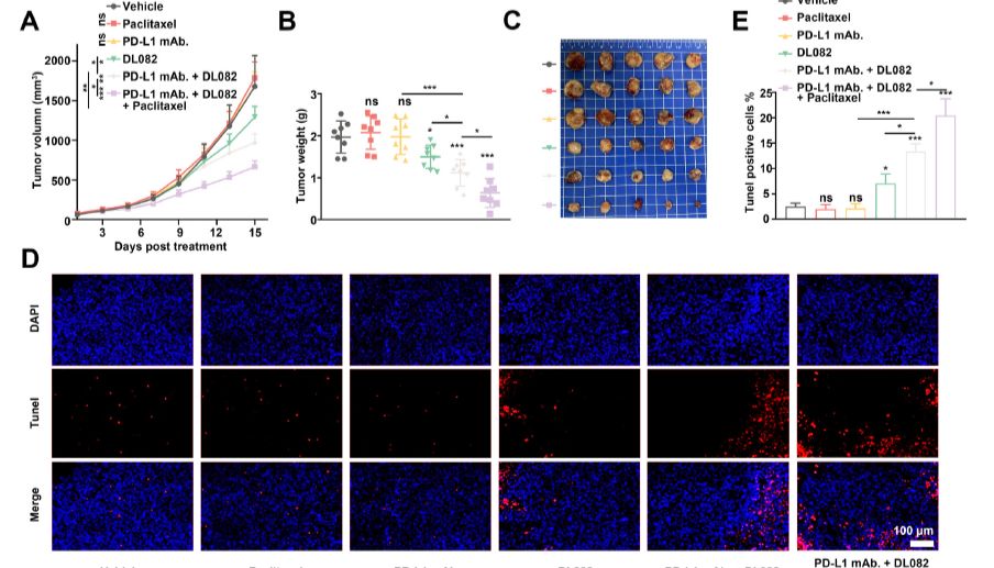 破解 NSCLC 化疗-免疫交叉耐药困局！腺苷-A₂AR-TAMs 轴机制揭晓