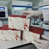 总胆固醇（total cholesterol，TC）含量测定试剂盒（分光光度法）