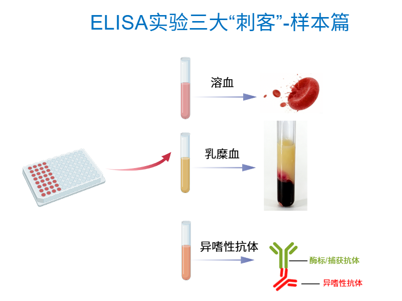 技术资料图片1
