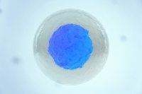 MSC 细胞外泌体（人）