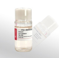 Cellworld ITS+3 液体培养基补充剂 100X C2312-017