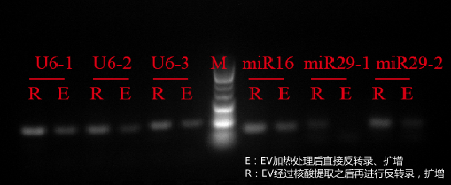 产品细节图片17