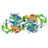 重组人PAP蛋白 | Human Prostatic Acid Phosphatase (PAP), 167-335aa, His-tag