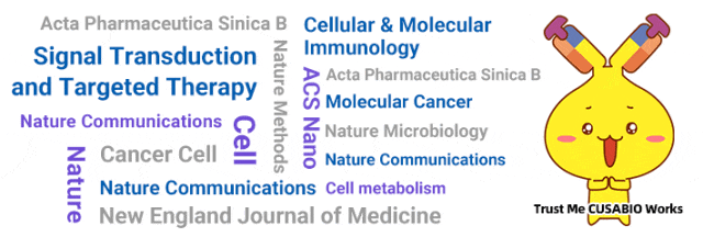 华美生物2025年度文献盘点