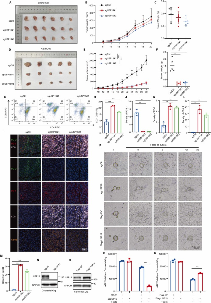 6390201482248727131955801