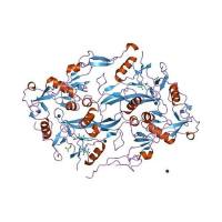 重组人Follistatin蛋白 | Recombinant Human Follistatin, 35-283aa, His-tag