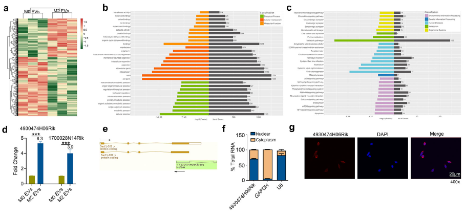 6390226786184933747498209