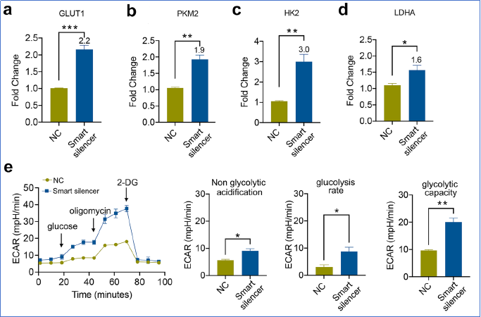 6390226789001559362039411