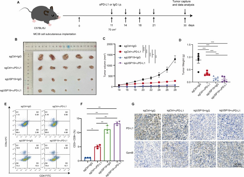 6390201494573414556466922