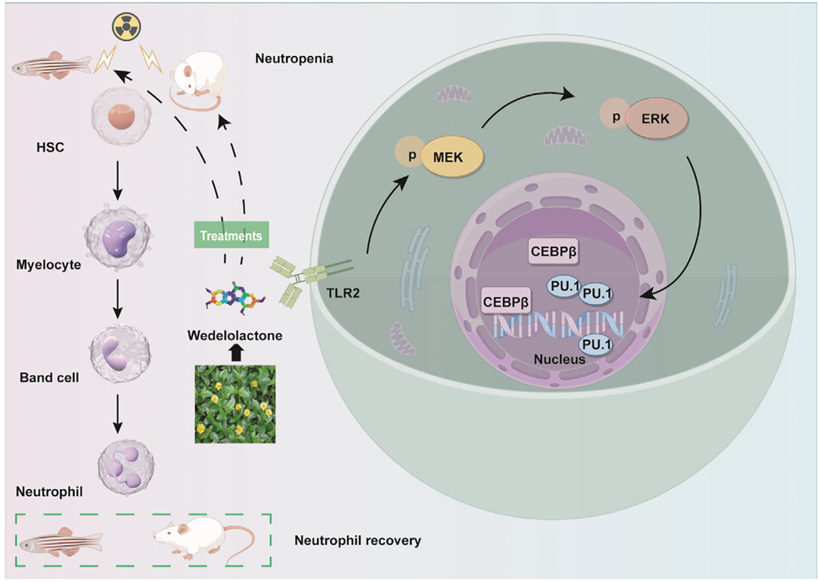 6390346176420468892110549