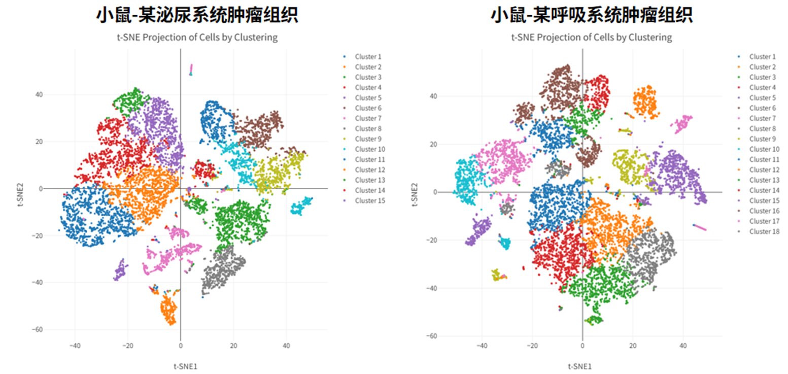 产品细节图片6