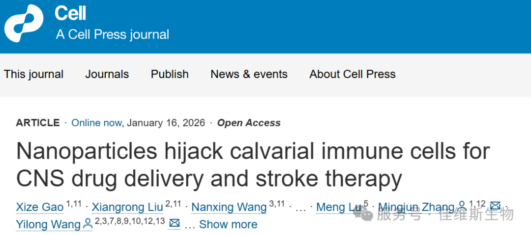 Cell丨颅骨透明化三维成像，揭示纳米颗粒“劫持”颅骨骨髓免疫细胞，绕过血脑屏障精准递送至脑卒中病灶！