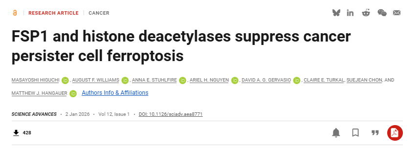 6390347924391555859794251