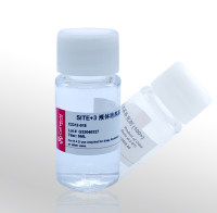 Cellworld SITE  液体培养基补充剂 100X C2312-018