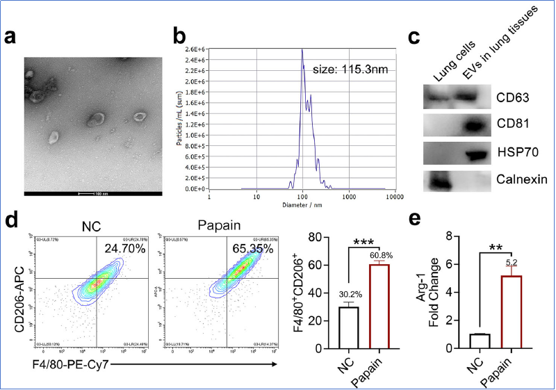 6390226768190282178250238