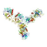 重组小鼠GZMA蛋白 | Recombinant Mouse GZMA, 36-260aa, His-tag
