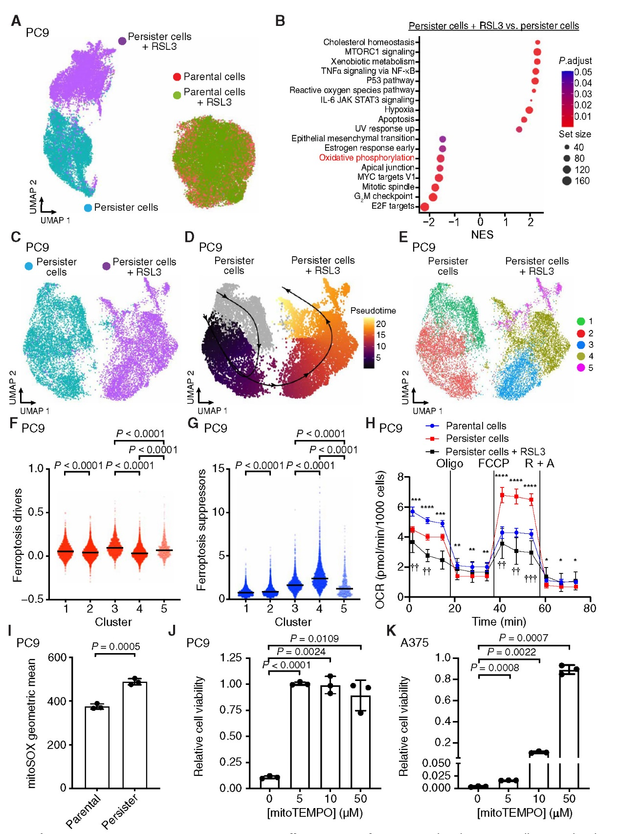 6390347926149352411693922