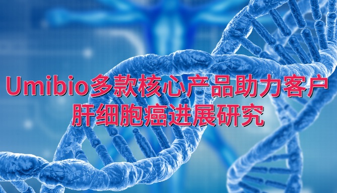 IF=14.1 | Umibio多款核心产品助力客户肝细胞癌进展研究！