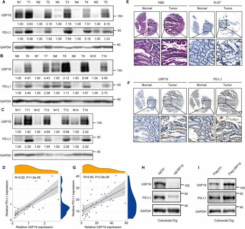6390201492194419985861643