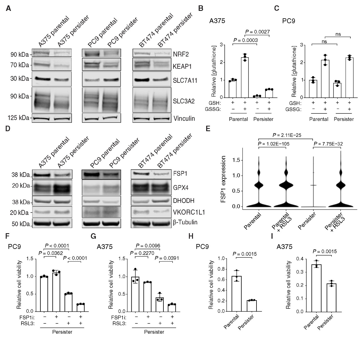 6390347928562665083481710