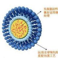 温度响应型乳糖酸(LBA)修饰脂质体( Lipsome):精准释放阿霉素(DOX)用于肝癌化疗