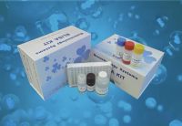 大鼠细胞因子ELISA试剂盒 现货