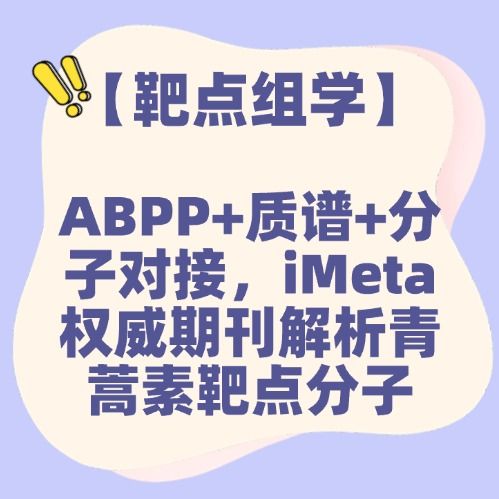 【靶点组学】ABPP+质谱+分子对接,iMeta权威期刊解析ART靶点分子