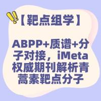 【靶点组学】ABPP+质谱+分子对接，iMeta权威期刊解析ART靶点分子