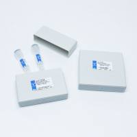 大鼠Dao重组蛋白/Rat D-amino-acid oxidase（Dao)蛋白