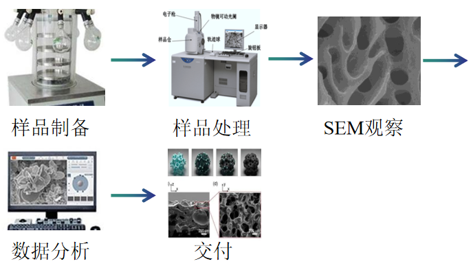扫描电镜SEM检测服务