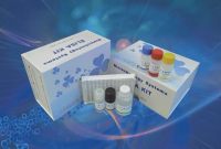 小鼠细胞因子ELISA试剂盒 现货