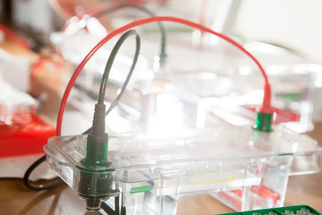 电泳实验为什么会出现差异？——从电场、缓冲液到电源的系统性解析