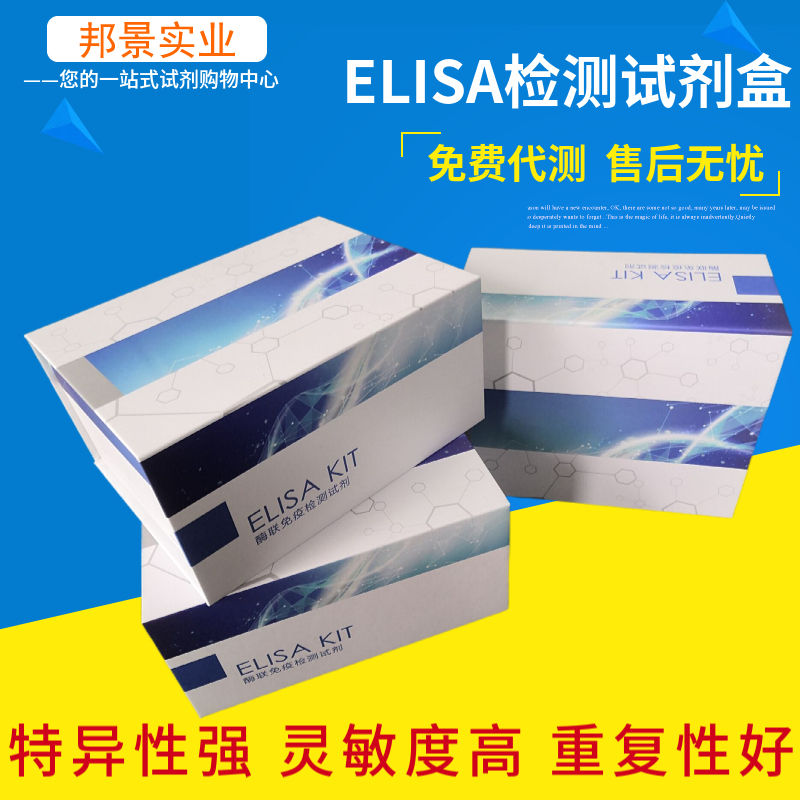 ELISA对照结果异常？教你一步步排查问题