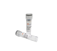 InVivoMAb Anti-Human TNFa/TNF-alpha (Iv0050), InVivoMAb 抗人TNFa/TNF-alpha (Iv0050)