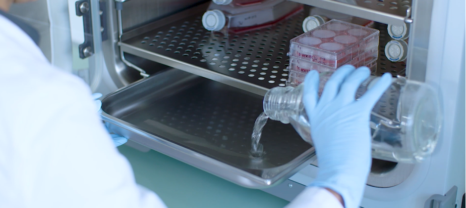 细胞房又污染了？这些细节你注意了吗