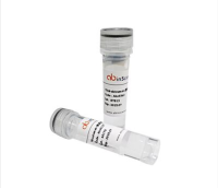 InVivoMAb Anti-SARS-CoV-2 RBD (JN.1) Neutralizing Antibody (Iv0221), InVivoMAb 抗SARS-CoV-2RBD (JN.1) Neutralizing抗体 (Iv0221)