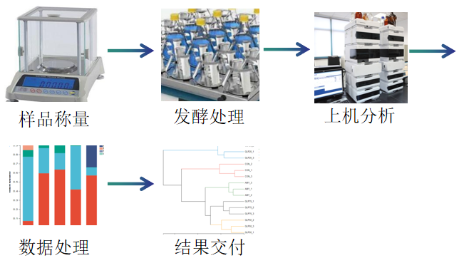 多糖对肠道菌群调节活性检测服务