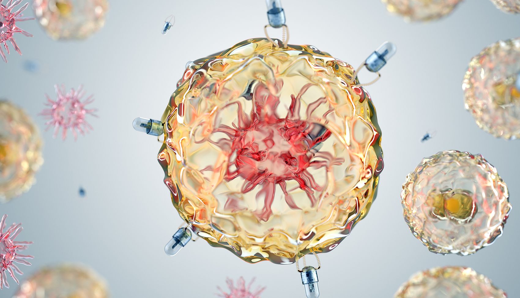 为您的纳米医学研究注入确定性：MeloPEG专业细胞验证服务，  衔接载体设计与动物成功的核心桥梁