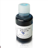 X-Stain SDS-PAGE Rapid Staining Solution, X-Stain SDS-PAGE极速染色液