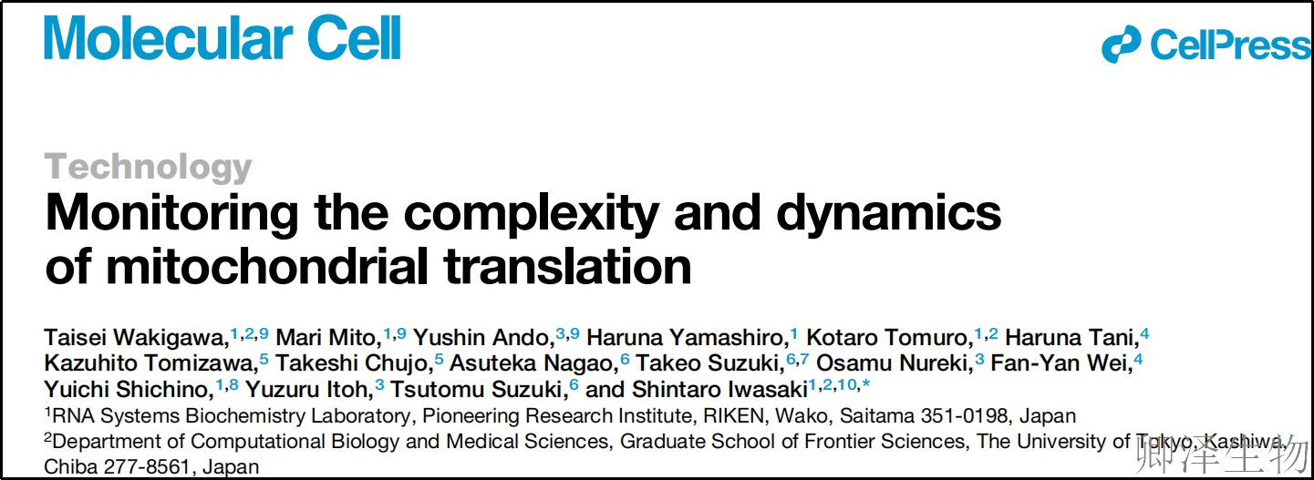 【线粒体翻译新技术】 | 新技术绘制细胞能量工厂的蛋白质合成动态图