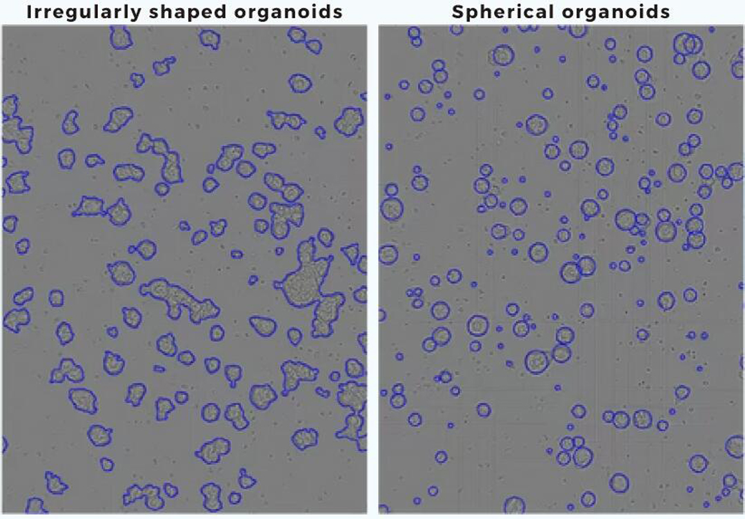 技术资料图片11