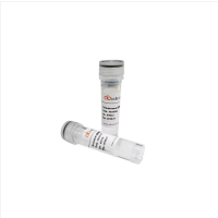 InVivoMAb Anti-Human APOE2/3/4 Antibody (HJ15.4), InVivoMAb 抗人APOE2/3/4抗体 (HJ15.4)