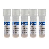 通用预混型 SYBR Green qPCR Master Mix（化学法）