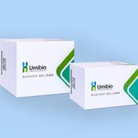 大型真菌囊泡提取纯化试剂盒20T