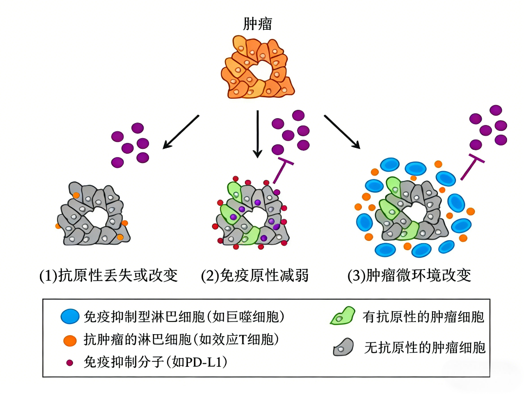 新闻图片2