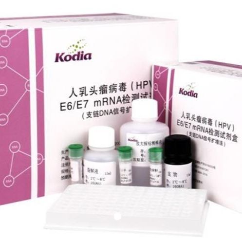 HPV E6/E7 mRNA检测试剂盒