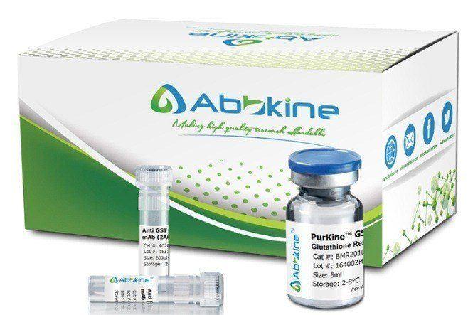 Fig.1. Abbkine PurKine™ is series of unique purification portfolio from settled resin, prepacked spin columns and full kits for your most types of sample purification and preparation.|||purkine-2.jpg