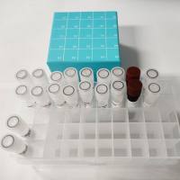 技术服务/引物合成/siRNA合成（三保一）/专业算法优化三条序列/批次高一致性/最小化脱靶风险