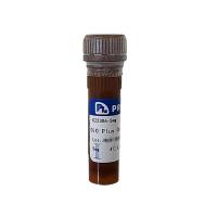 DiO Plus 细胞膜荧光探针